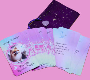 Loving Messages From The Rainbow Bridge ~ 33 Card Oracle Deck ~Pet Loss Grief Connect w/Pet In Spirit w/Pouch & RQ Heart Author Exclusive