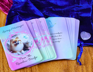 Loving Messages From The Rainbow Bridge ~ 33 Card Oracle Deck & Deluxe Velvet Pouch & RQ Heart ~ Author Exclusive Pet Loss Grief Connect w/Pet In Spirit