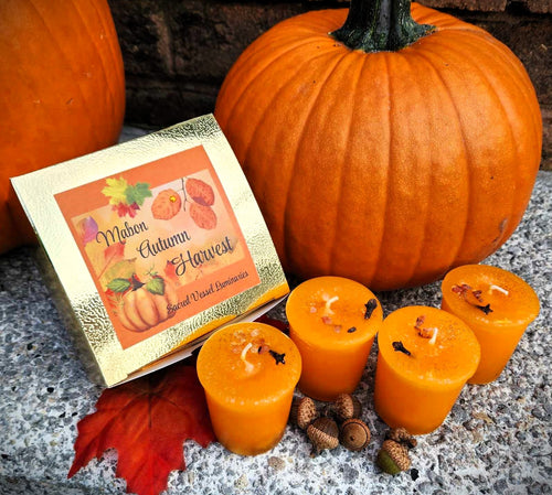 Harvest Mabon Autumn Equinox Candles Set of 4 Cinnamon Orange Pear w/Carnelian Chips and Clove Bud ~Wicca Paganism Fall Celtic End of Summer