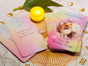 Loving Messages From The Rainbow Bridge ~ 33 Card Oracle Deck & Deluxe Velvet Pouch & RQ Heart ~ Author Exclusive Pet Loss Grief Connect w/Pet In Spirit