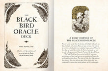 Load image into Gallery viewer, Blackbird Oracle 52 Card Deck w/Guidebook +Bonuses- Symbolic Flying Key &amp; Mini Resin Blackbird/Raven Figurine Discovery of Witches All Souls