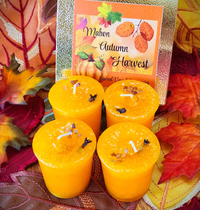 Harvest Mabon Autumn Equinox Candles Set of 4 Cinnamon Orange Pear w/Carnelian Chips and Clove Bud ~Wicca Paganism Fall Celtic End of Summer