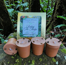 Load image into Gallery viewer, RIDING THE HEDGE Candles Liminal Magick Altar Soy Votives Ritual Box of 4 Walking Between Worlds