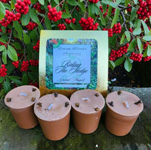Load image into Gallery viewer, RIDING THE HEDGE Candles Liminal Magick Altar Soy Votives Ritual Box of 4 Walking Between Worlds