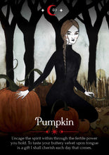 Load image into Gallery viewer, Deluxe Seasons of the Witch Samhain Oracle Ltd Edition 60 Cards Velvet box, Additional cards, Witchcraft, Ritual Spells, Halloween