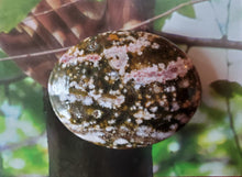 Load image into Gallery viewer, Ocean Orbicular Jasper Palm Stone
